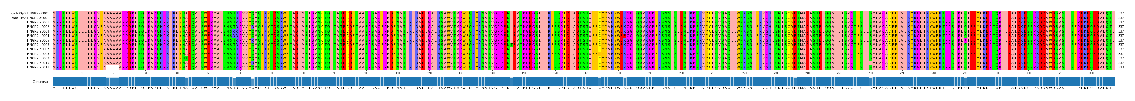 Multiple Alignments (by translate haplotype frequency)