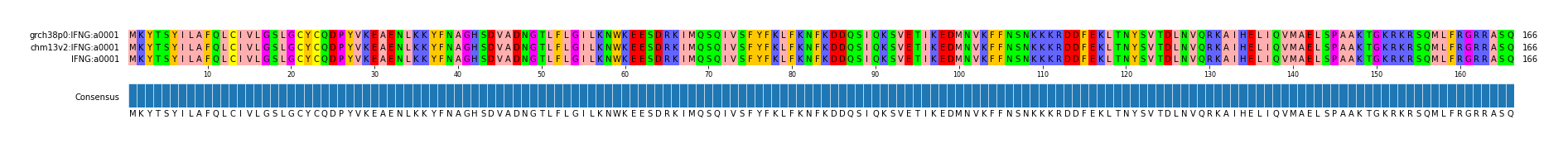 Multiple Alignments (by translate haplotype similarity)