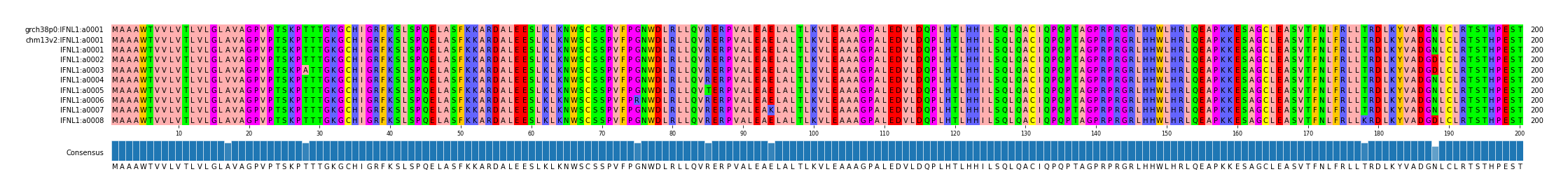 Multiple Alignments (by translate haplotype frequency)