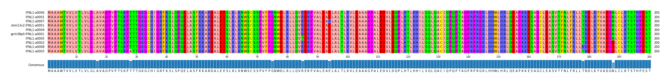 Multiple Alignments (by translate haplotype similarity)
