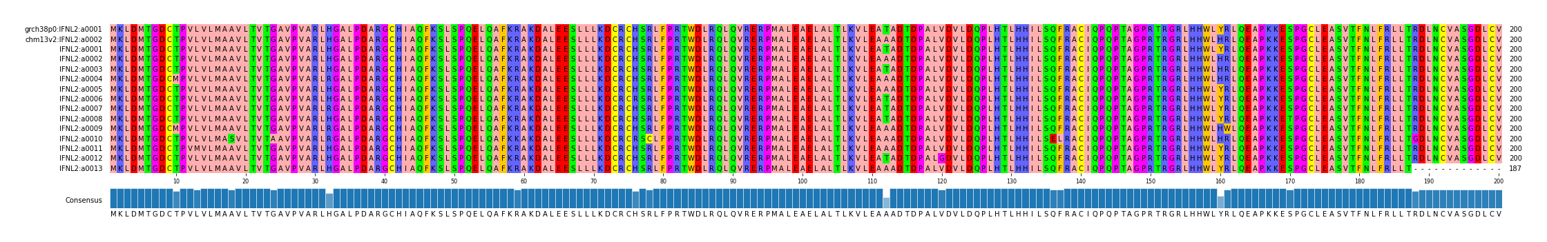 Multiple Alignments (by translate haplotype frequency)