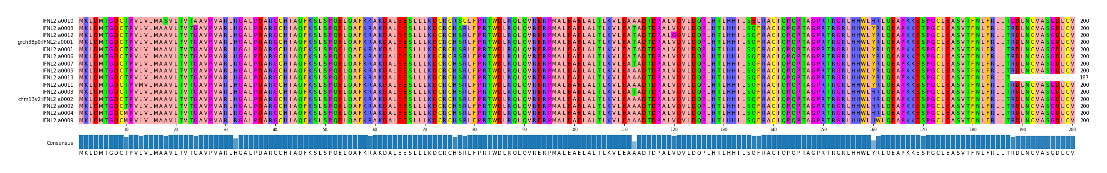 Multiple Alignments (by translate haplotype similarity)