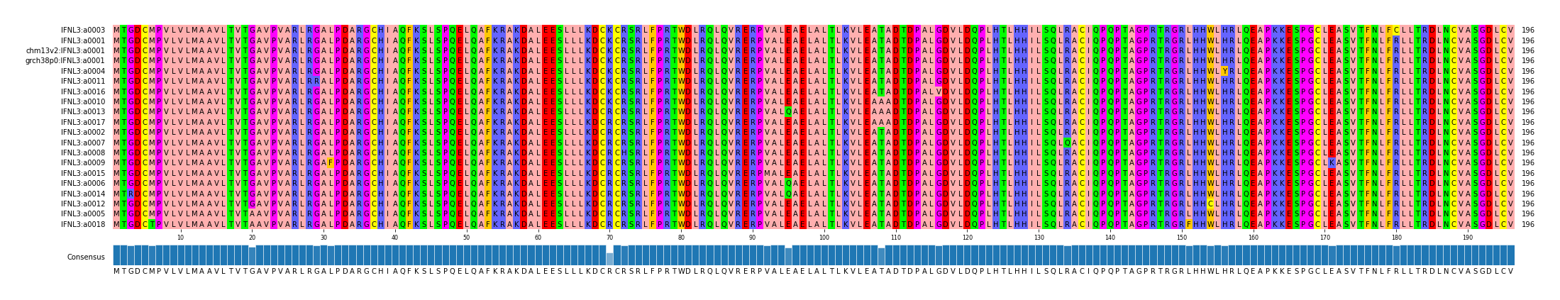 Multiple Alignments (by translate haplotype similarity)