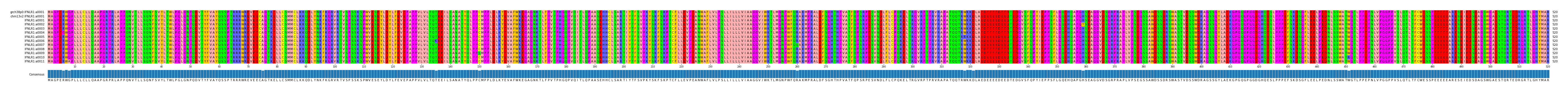 Multiple Alignments (by translate haplotype frequency)