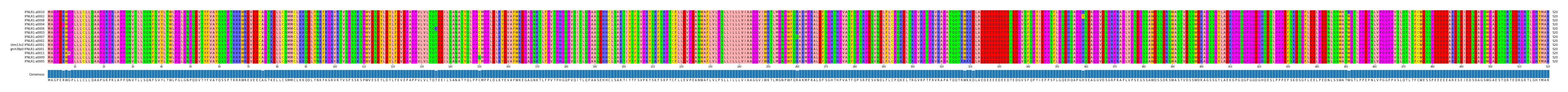 Multiple Alignments (by translate haplotype similarity)