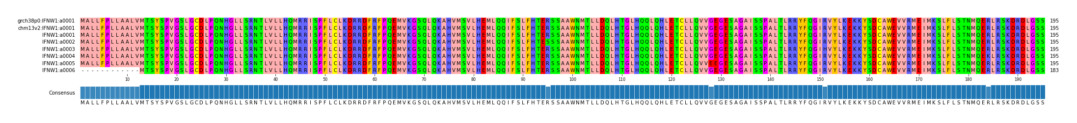 Multiple Alignments (by translate haplotype frequency)