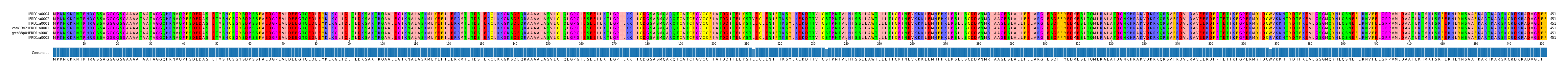 Multiple Alignments (by translate haplotype similarity)