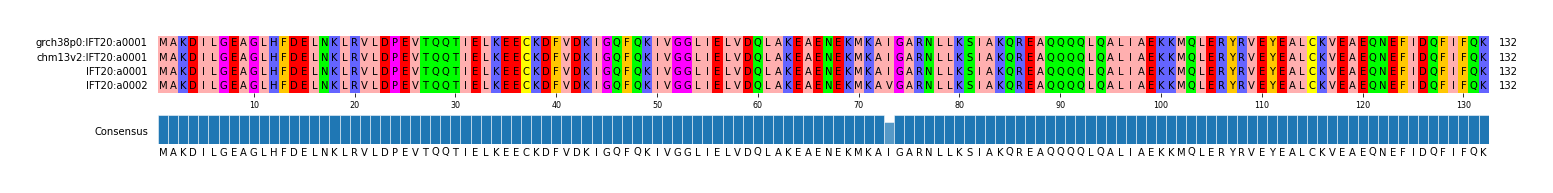 Multiple Alignments (by translate haplotype similarity)