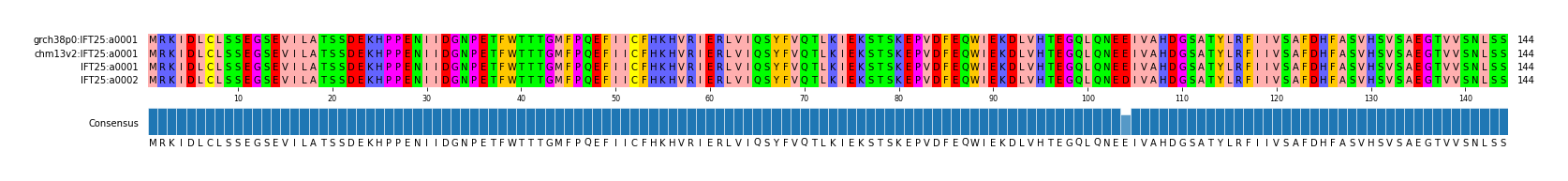 Multiple Alignments (by translate haplotype similarity)