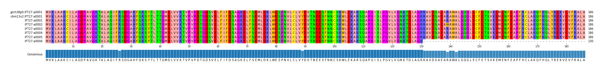 Multiple Alignments (by translate haplotype frequency)