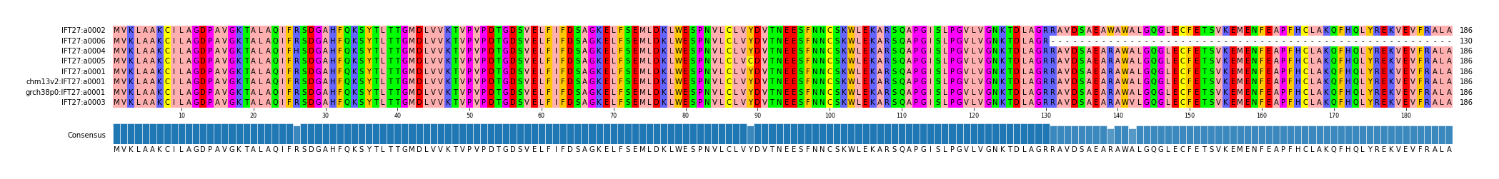 Multiple Alignments (by translate haplotype similarity)