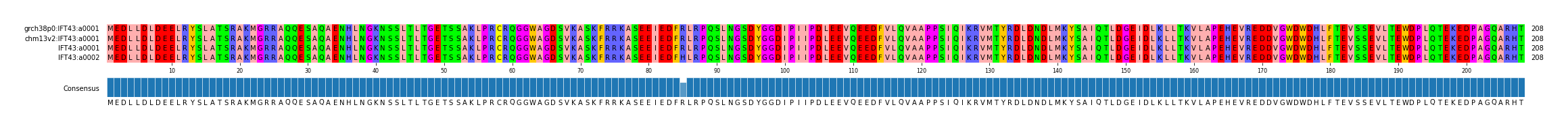 Multiple Alignments (by translate haplotype similarity)