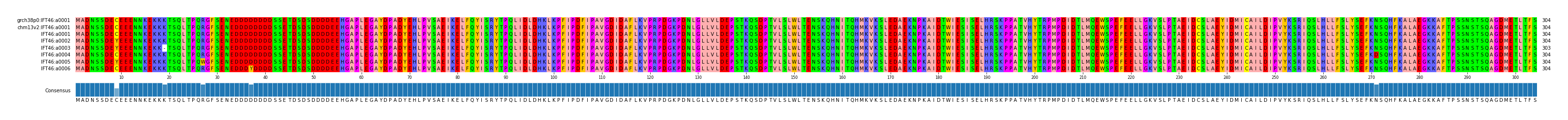 Multiple Alignments (by translate haplotype frequency)