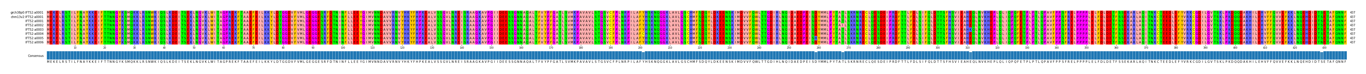 Multiple Alignments (by translate haplotype frequency)