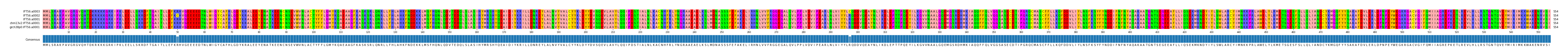 Multiple Alignments (by translate haplotype similarity)