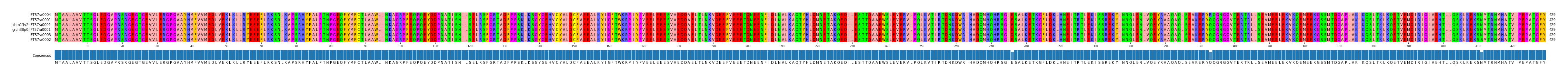 Multiple Alignments (by translate haplotype similarity)