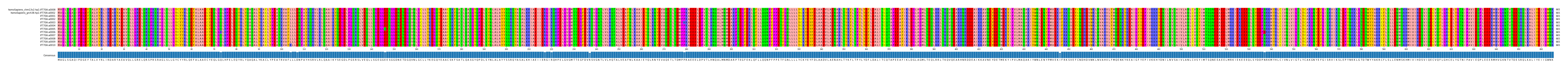 Multiple Alignments (by translate haplotype frequency)