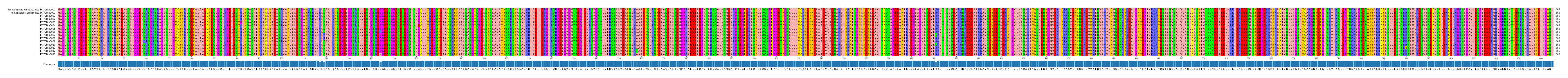 Multiple Alignments (by translate haplotype frequency)