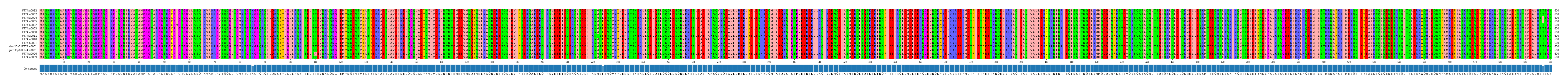 Multiple Alignments (by translate haplotype similarity)