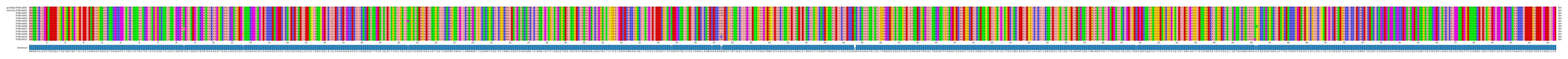 Multiple Alignments (by translate haplotype frequency)