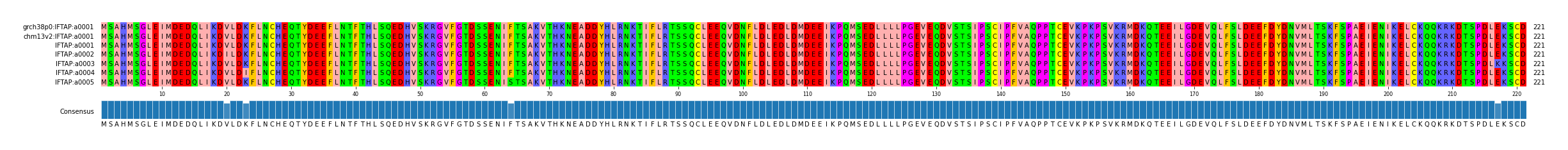 Multiple Alignments (by translate haplotype frequency)