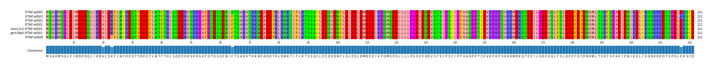 Multiple Alignments (by translate haplotype similarity)