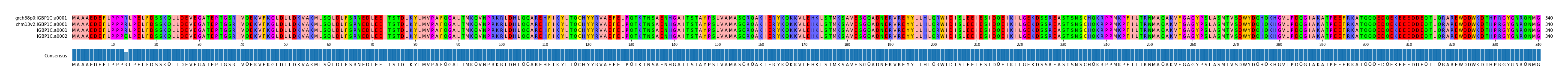 Multiple Alignments (by translate haplotype similarity)