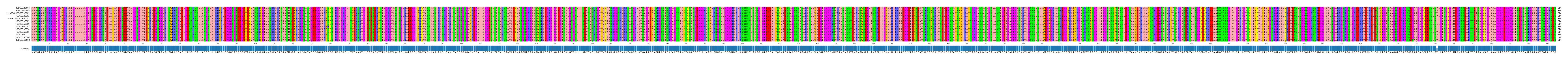 Multiple Alignments (by translate haplotype similarity)