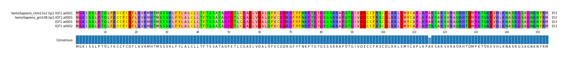 Multiple Alignments (by translate haplotype similarity)