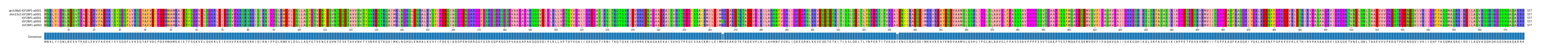 Multiple Alignments (by translate haplotype frequency)