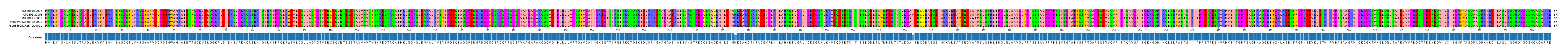 Multiple Alignments (by translate haplotype similarity)