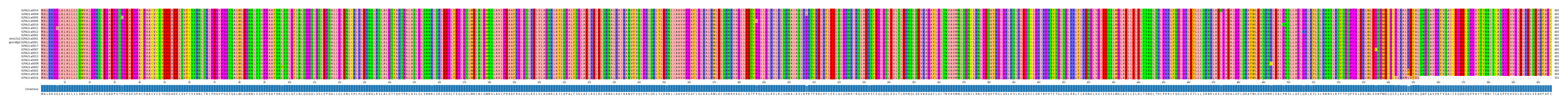 Multiple Alignments (by translate haplotype similarity)