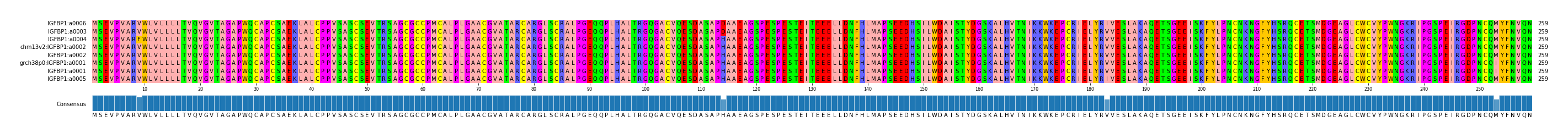 Multiple Alignments (by translate haplotype similarity)