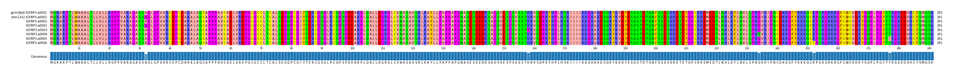 Multiple Alignments (by translate haplotype frequency)
