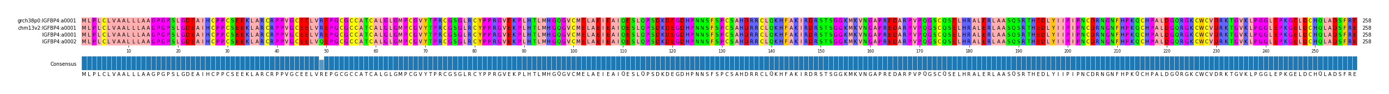 Multiple Alignments (by translate haplotype similarity)