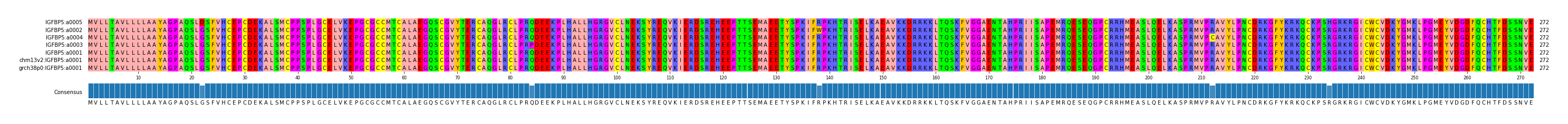 Multiple Alignments (by translate haplotype similarity)