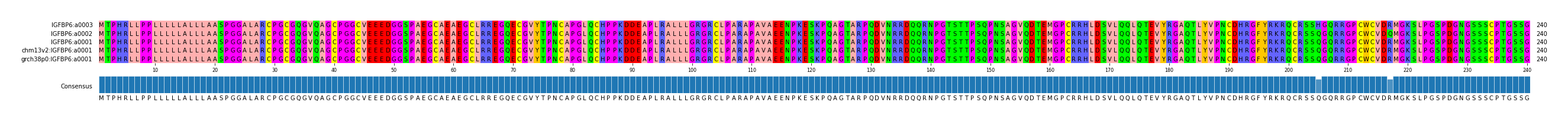 Multiple Alignments (by translate haplotype similarity)