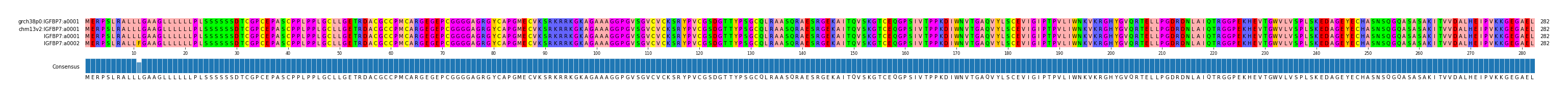 Multiple Alignments (by translate haplotype similarity)