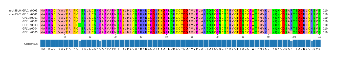 Multiple Alignments (by translate haplotype frequency)