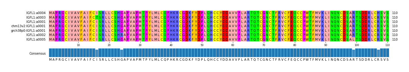 Multiple Alignments (by translate haplotype similarity)
