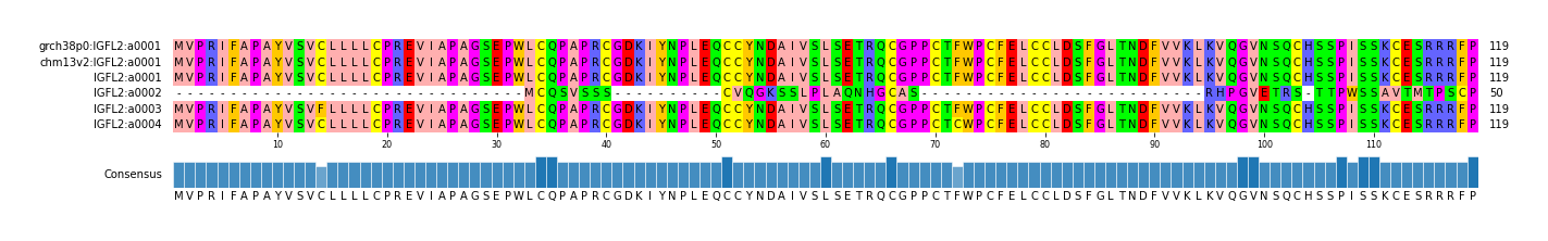 Multiple Alignments (by translate haplotype frequency)