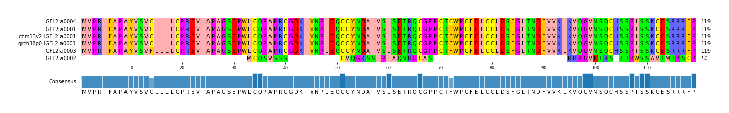 Multiple Alignments (by translate haplotype similarity)
