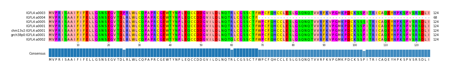 Multiple Alignments (by translate haplotype similarity)