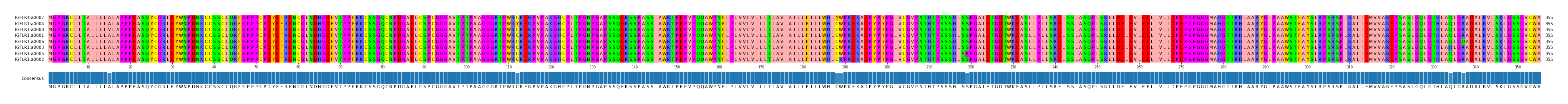 Multiple Alignments (by translate haplotype similarity)