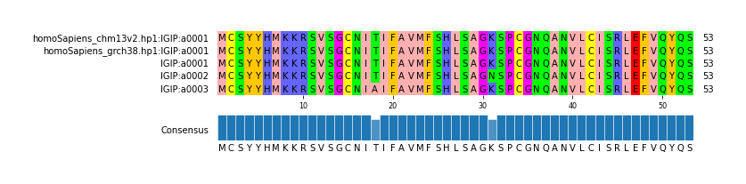 Multiple Alignments (by translate haplotype frequency)