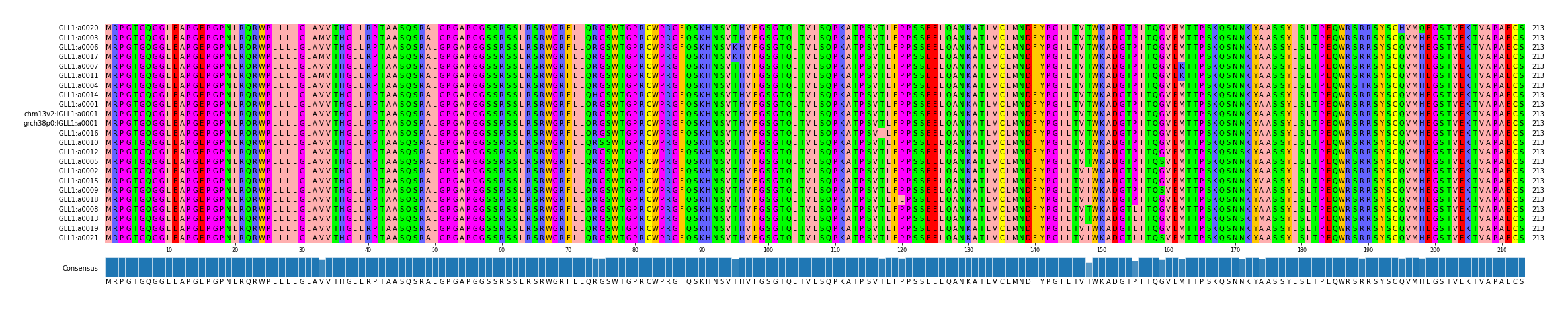 Multiple Alignments (by translate haplotype similarity)