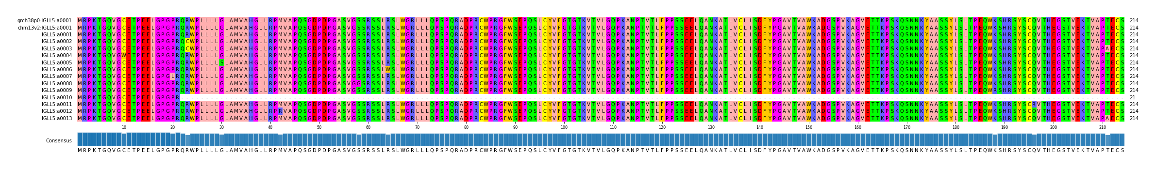Multiple Alignments (by translate haplotype frequency)