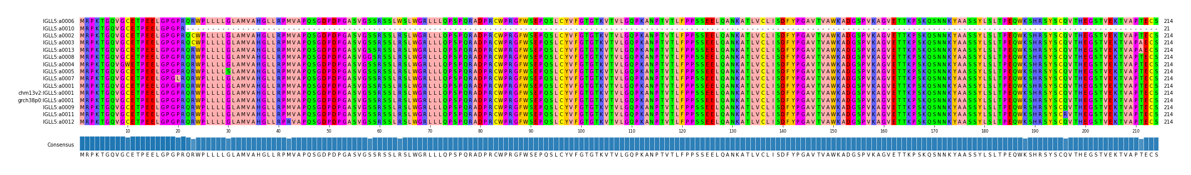 Multiple Alignments (by translate haplotype similarity)