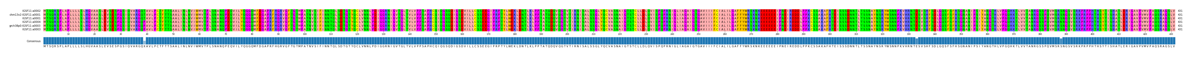 Multiple Alignments (by translate haplotype similarity)