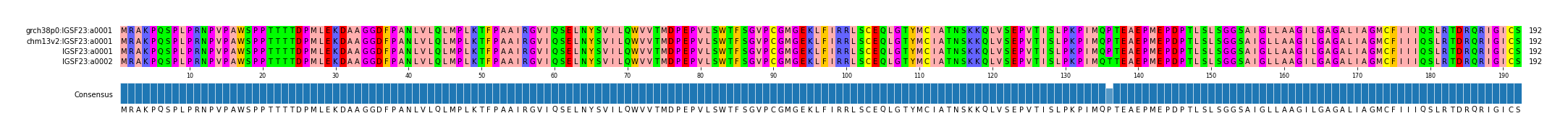 Multiple Alignments (by translate haplotype similarity)
